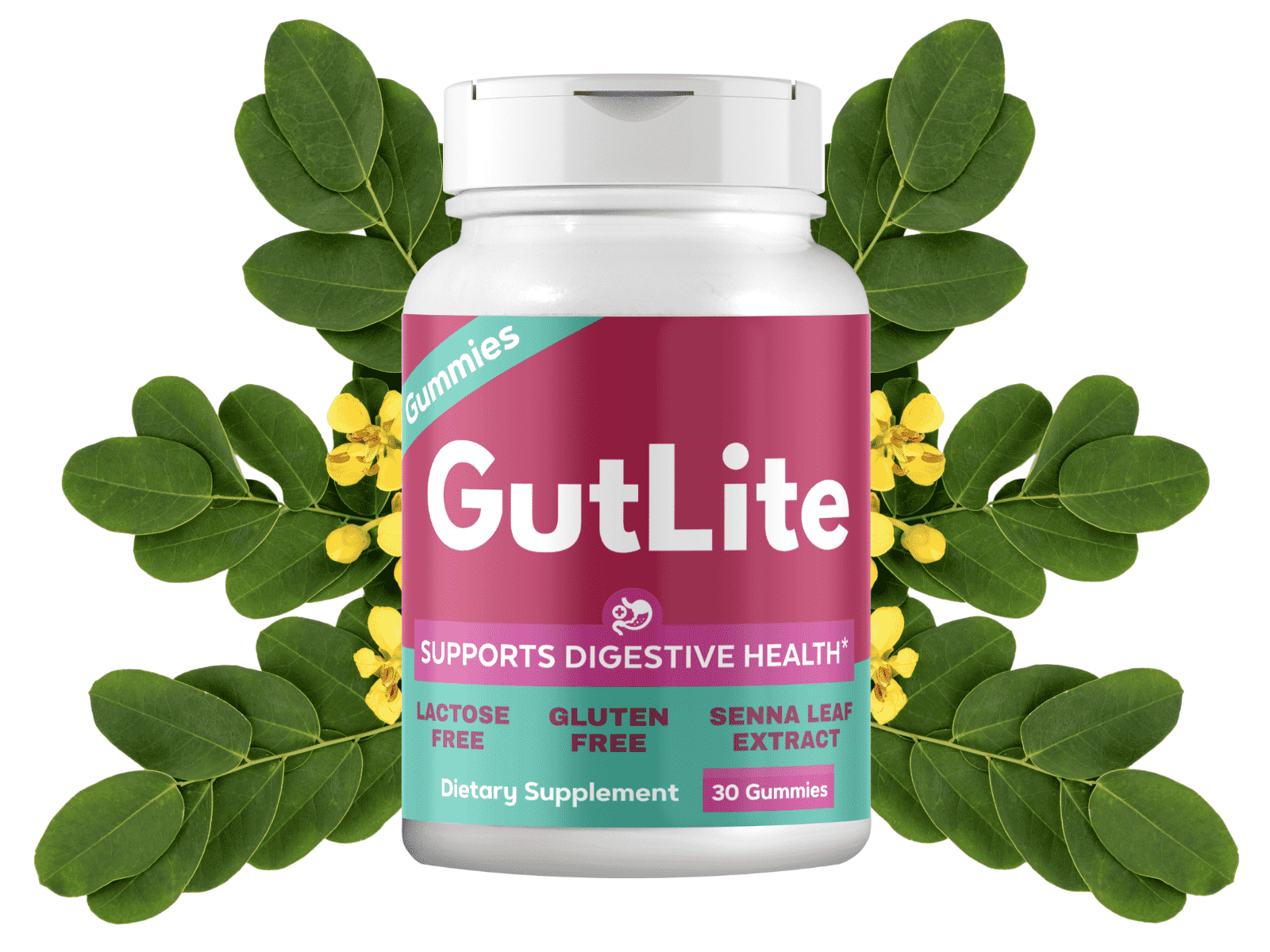 Gut Lite supplement